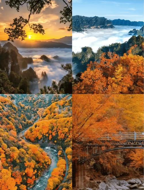 巴中光雾山看红叶最佳时间