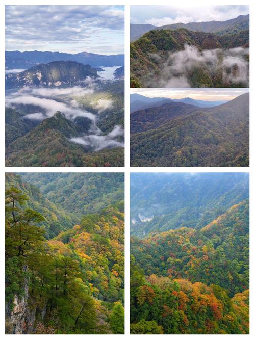 光雾山什么时候去看红叶最好呢