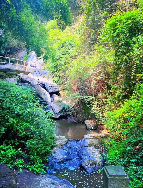 宁波九龙湖景区游玩攻略