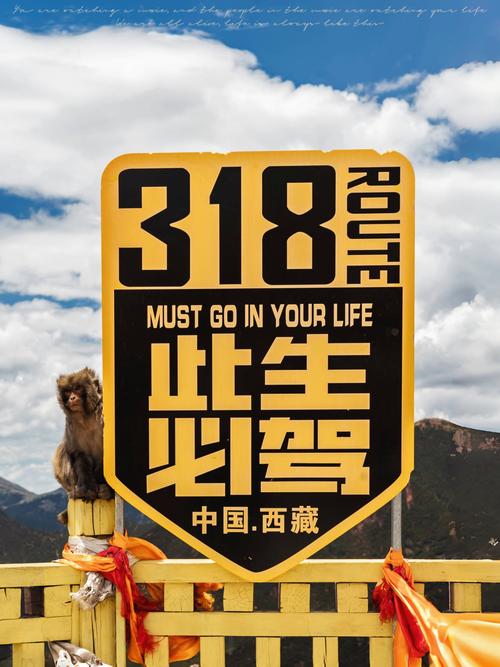 318国道自驾危险吗