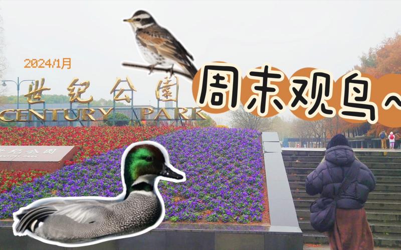 世纪公园-观鸟台地址在哪里?