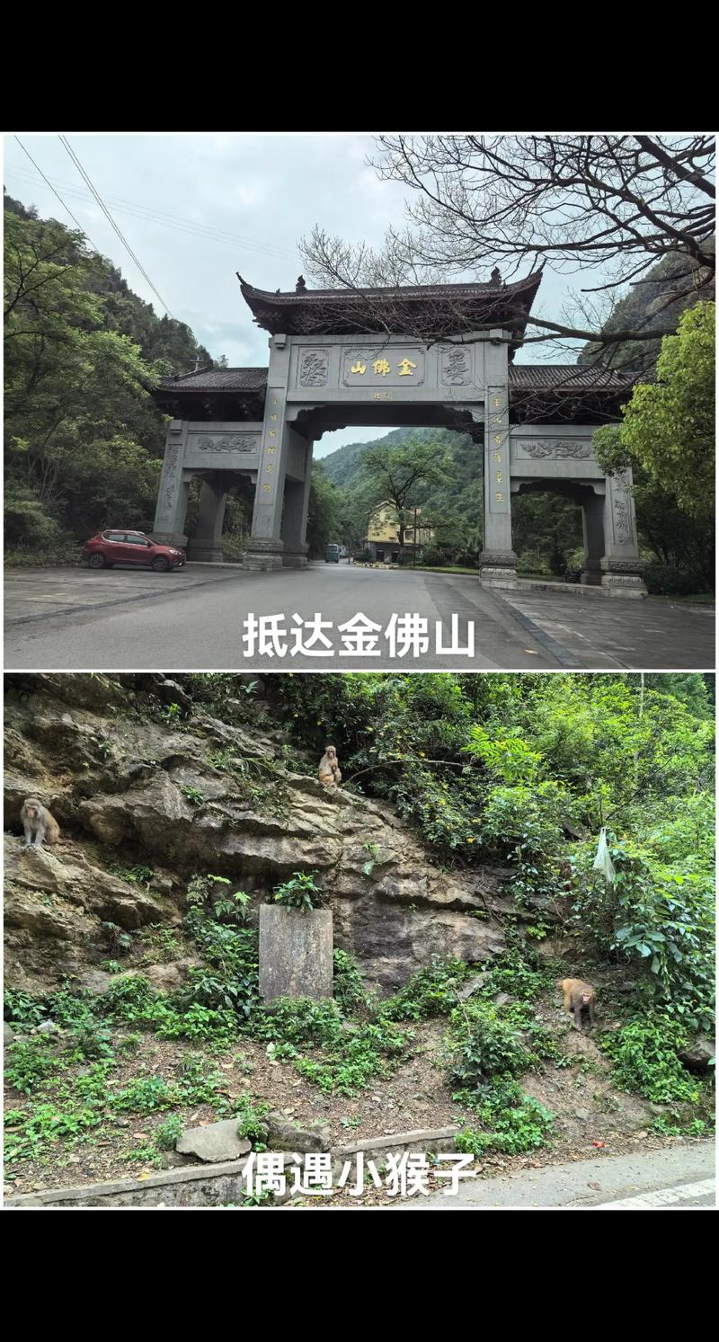 金佛山自驾一日游攻略，金佛山风景区自驾游旅游攻略？