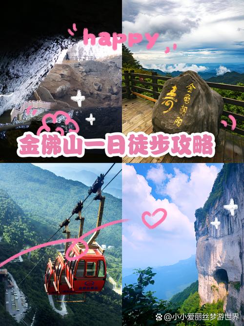 求金佛山旅游攻略,急!