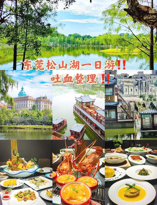 有什么去东莞松山湖风景区打卡的指南?