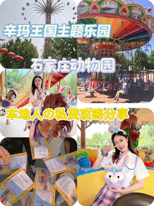 石家庄辛玛王国主题乐园的哪些游乐项目值得体验?