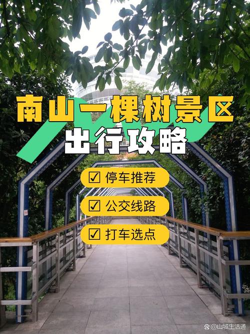 重庆南山风景区游玩攻略，重庆南山风景区旅游攻略？