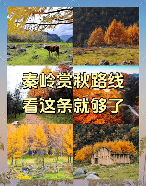 从甘肃进秦岭自驾游最佳路线_天水到成都自驾游攻略