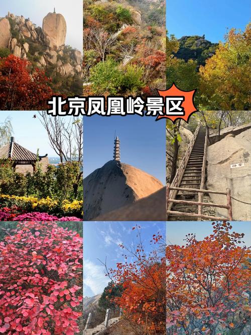 凤凰岭自然风景区旅游攻略