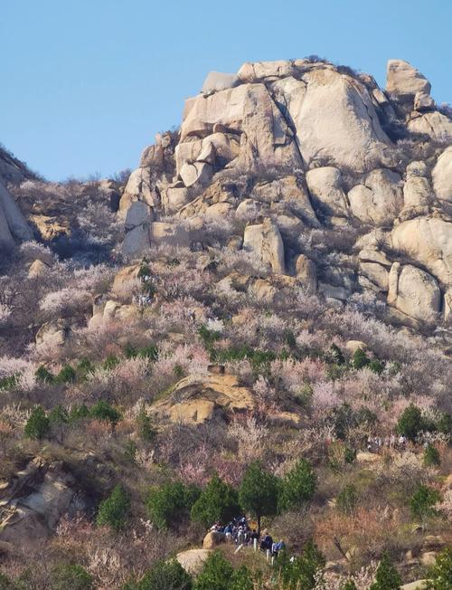 北京小黄山凤凰岭旅游攻略