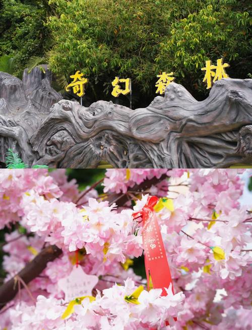 去凤凰岭海誓山盟景区打卡的攻略是什么?