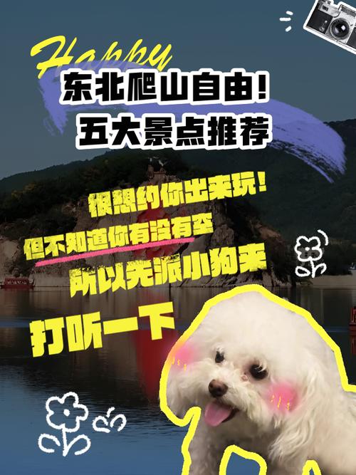 现在想去东北旅游,8到10天,自由行。推荐下线路,详细的加悬赏