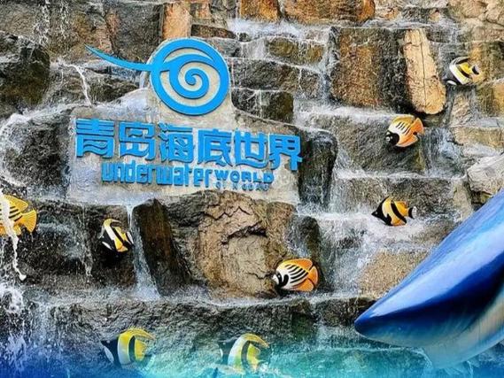 青岛海底世界怎么玩