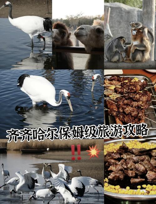 齐齐哈尔旅游攻略一日游，齐齐哈尔旅游景点攻略