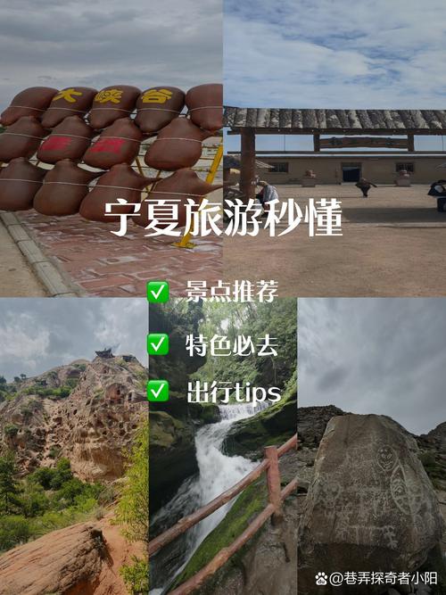 去宁夏沙坡头赏黄河美景的旅行攻略是什么?