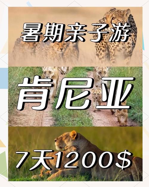 什么人会花高价钱去非洲旅游?~肯尼亚旅行攻略tips+避坑指南(下)_百度...
