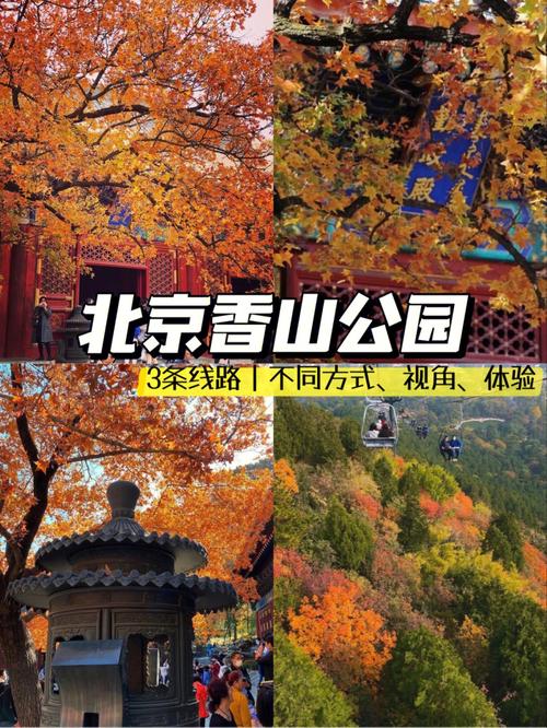 北京香山公园需要提前预约吗