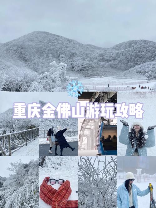 重庆金佛山门票本地人?