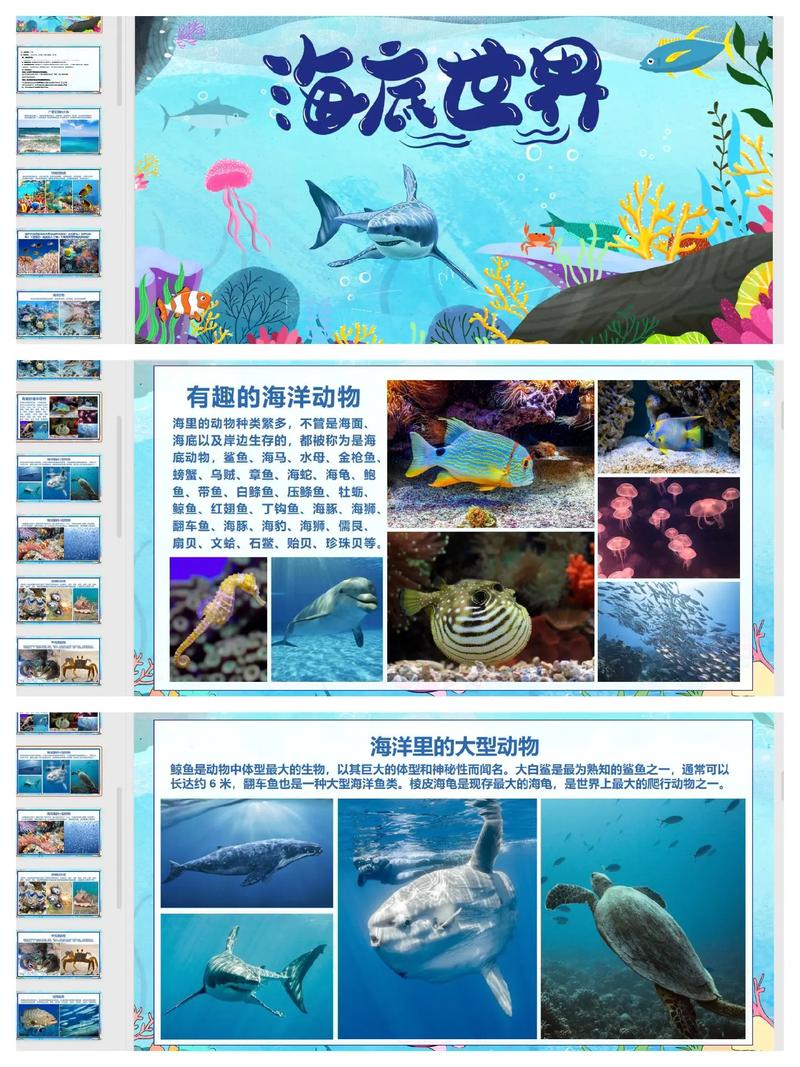 太平洋海底世界简介