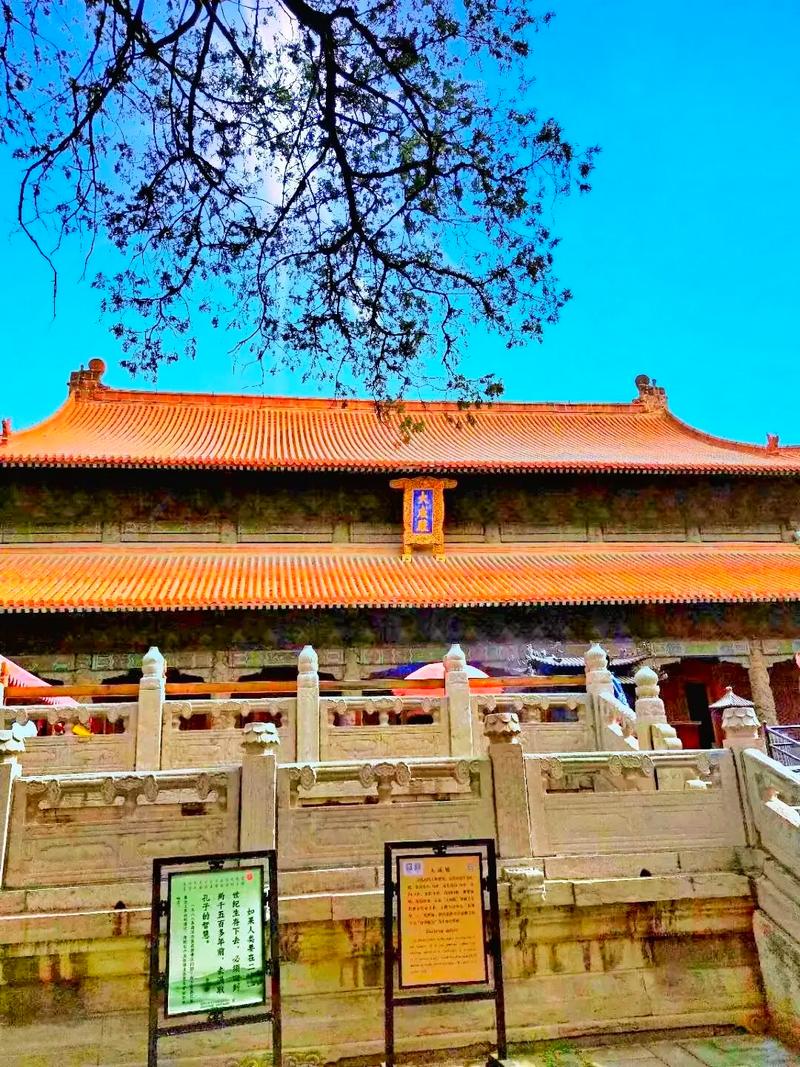 山东济宁曲阜5A景区三孔景区(AAAAA)旅游攻略