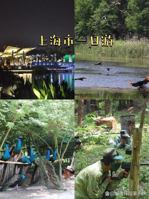 上海崇明岛好玩吗?两天可以玩什么?