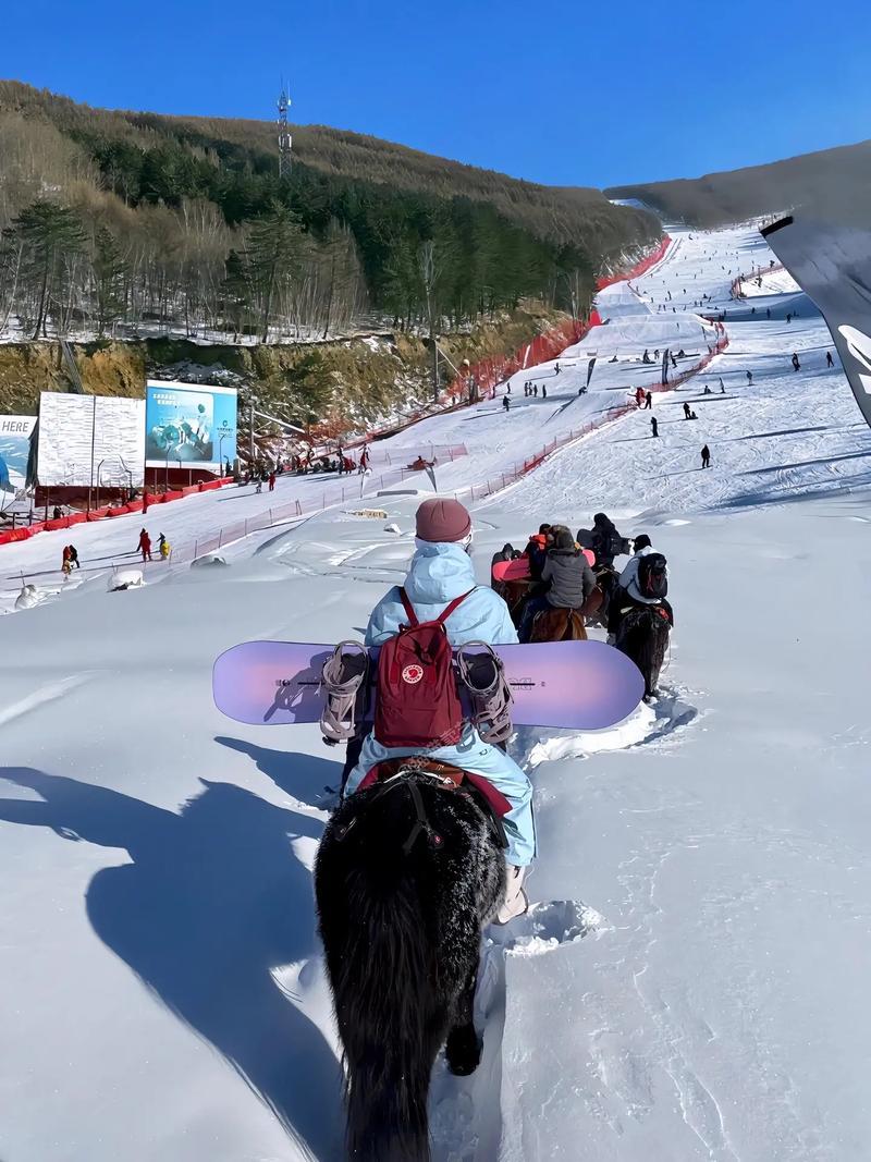 想要去旅游区滑雪,东北地区有什么好的景点推荐?