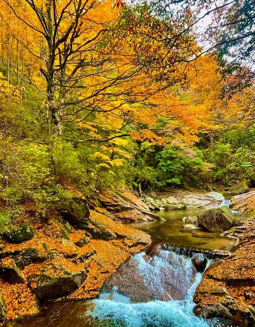 光雾山在四川哪个城市