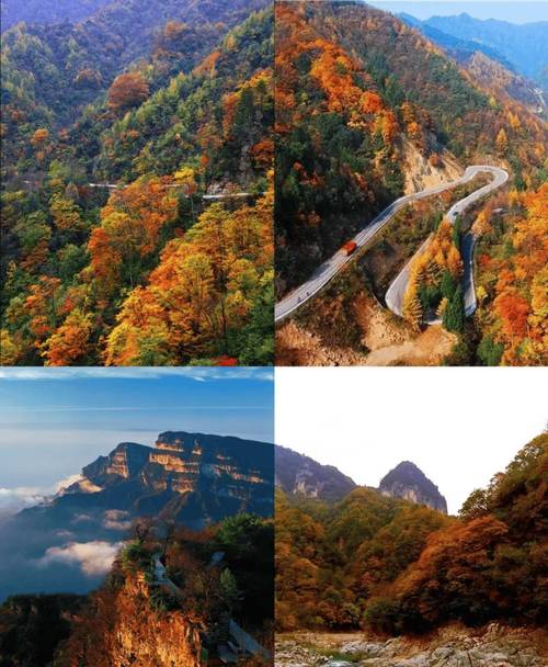 光雾山在四川什么地方
