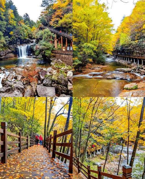 光雾山在四川什么地方四川光雾山有什么特点
