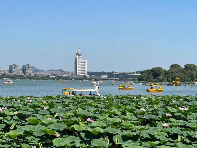 南京玄武湖公园有哪八景观