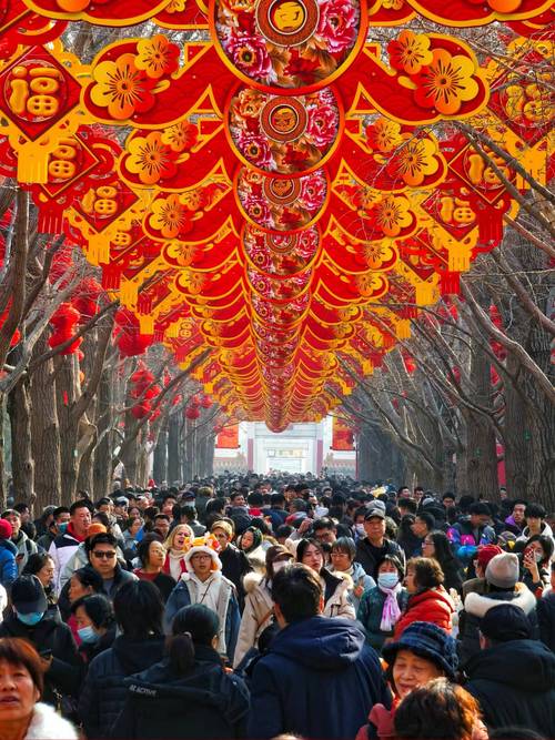 北京哪个节日逛庙会