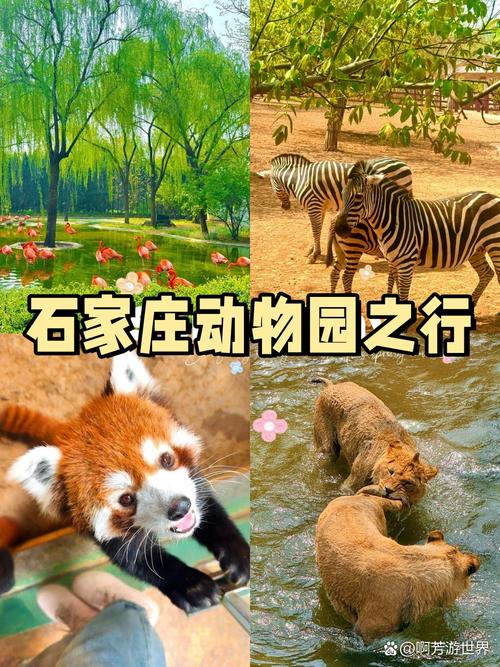 石家庄动物园门票哪里买便宜，石家庄动物园收费吗