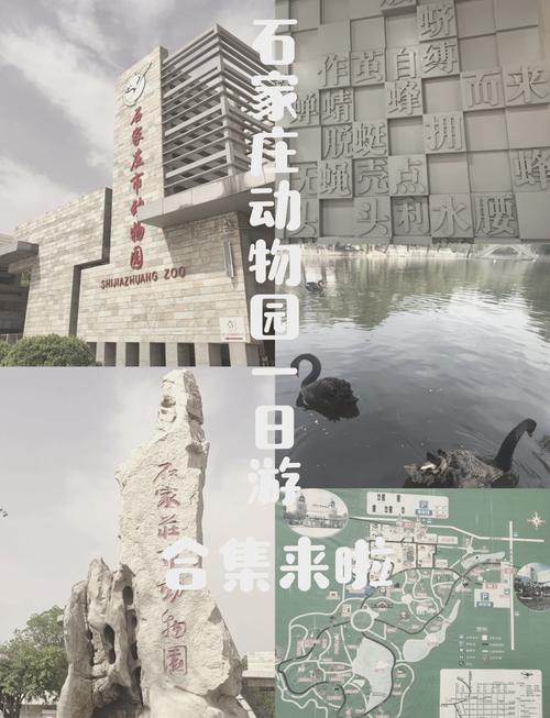 石家庄动物园门票多少钱一张?