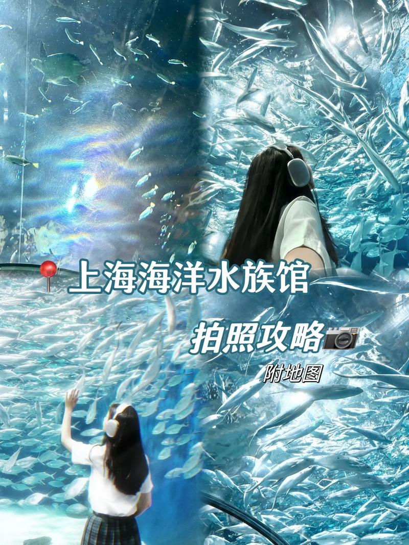上海陆家嘴的水族馆门票多少钱?