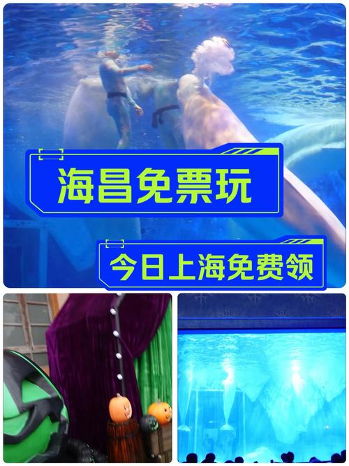 上海海洋水族馆门票多少钱?