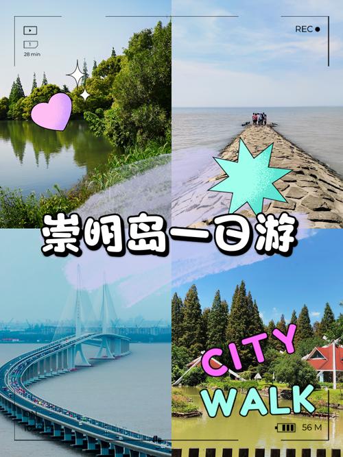 崇明岛旅游攻略:看海、赏花、吃海鲜,全家出行好去处!