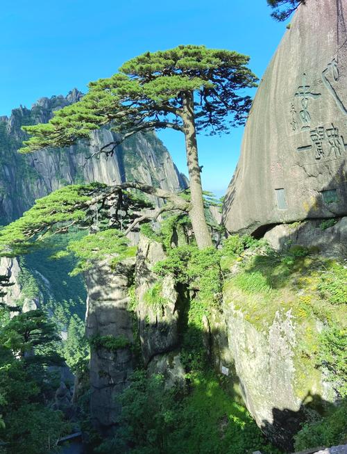 黄山风景区在哪里