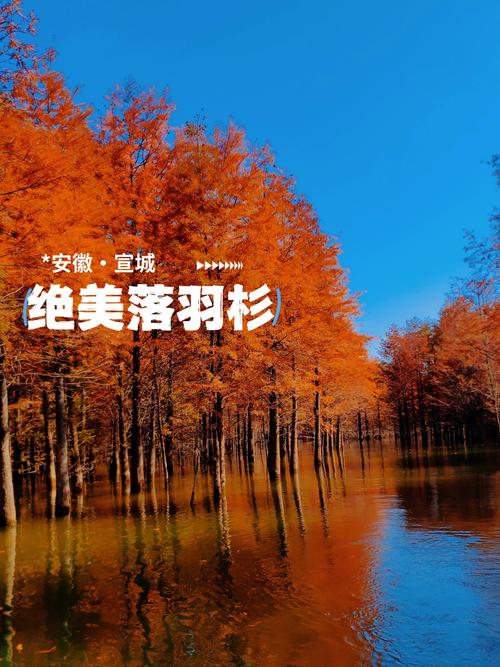 宣城一日游最值得去的地方