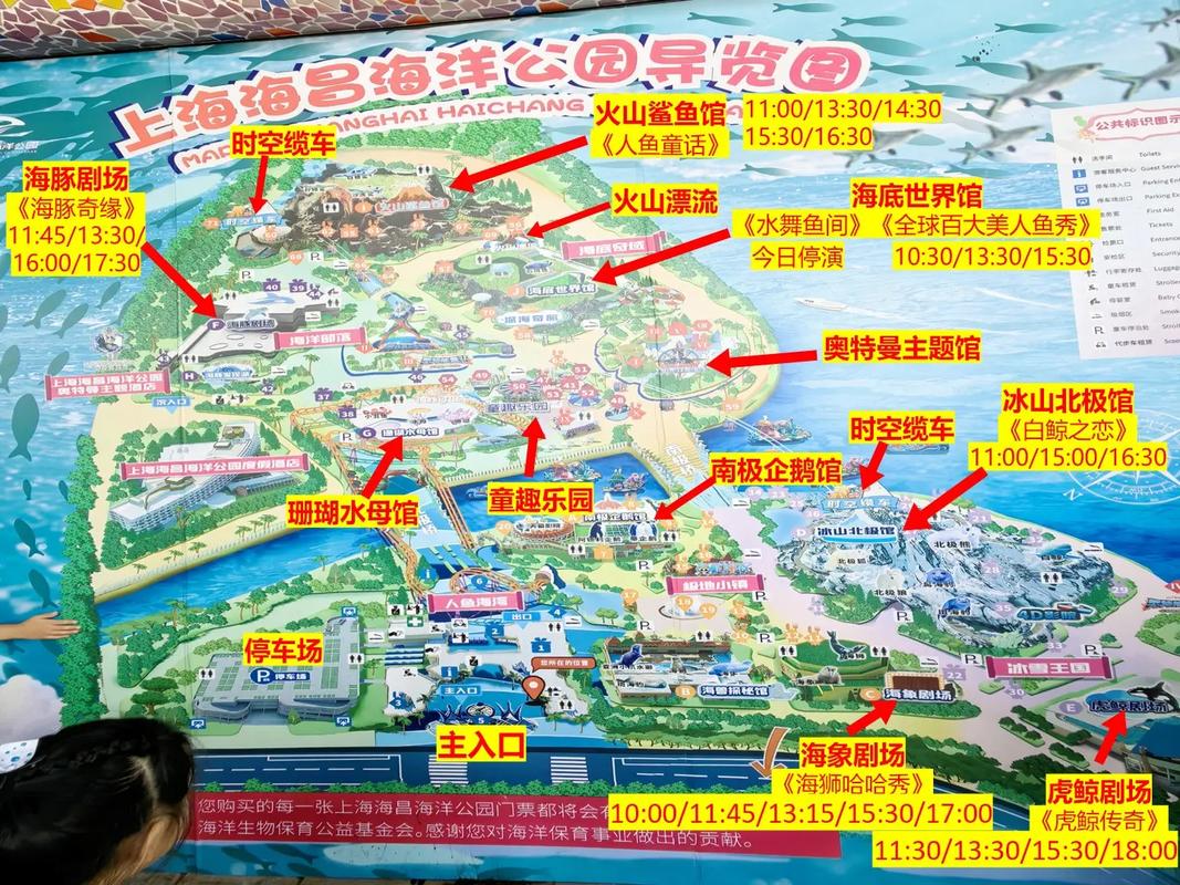 上海海昌海洋公园门票多少钱+优惠政策+开放时间