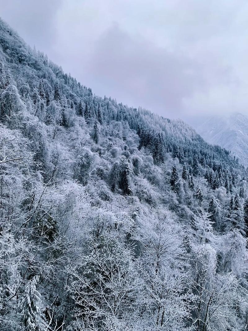 7月份去西岭雪山还有雪吗?