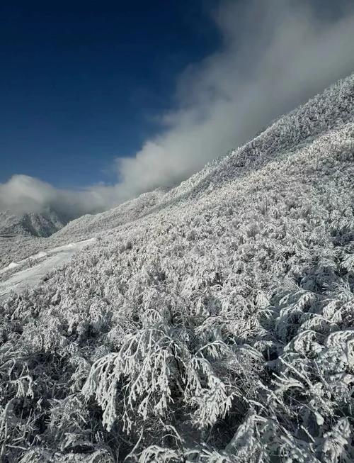 西岭雪山7月份气温