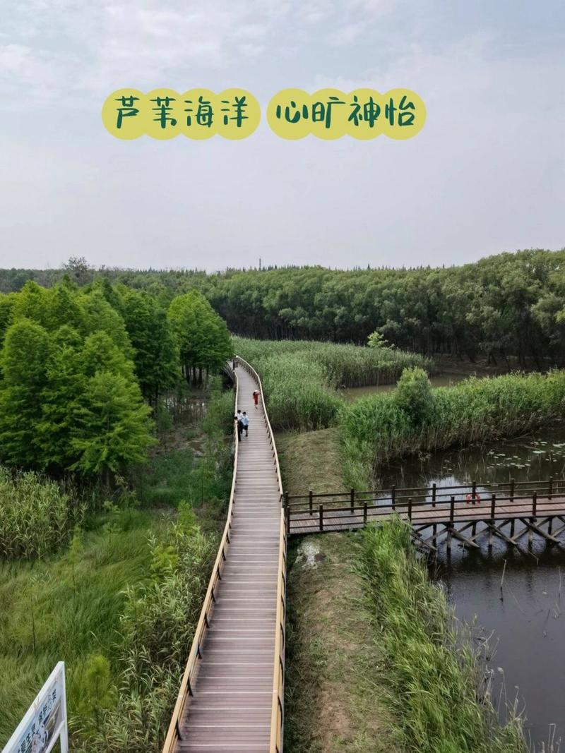 崇明西沙湿地简介