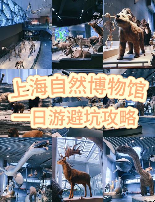 上海自然博物馆地址？上海自然博物馆地址交通？