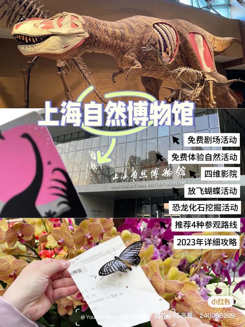 上海自然博物馆地址