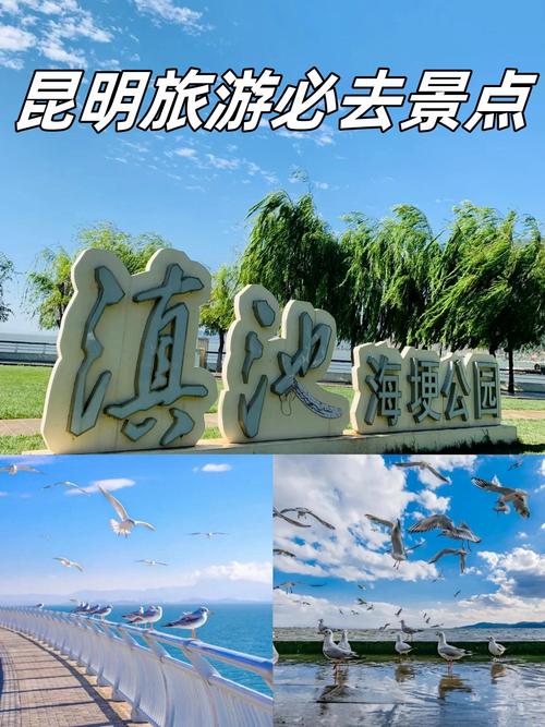昆明最值得去的地方有哪些，昆明最值得去的地方有哪些景点