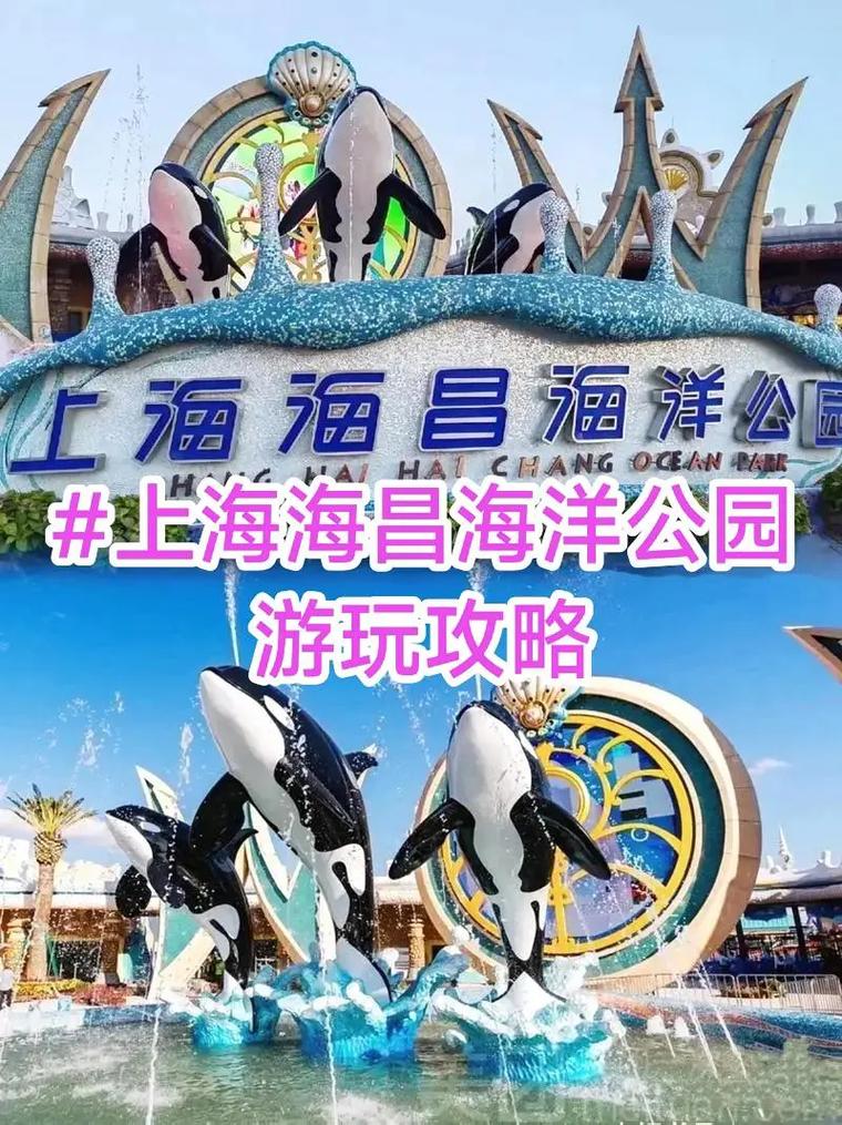 上海海洋公园哪个好玩