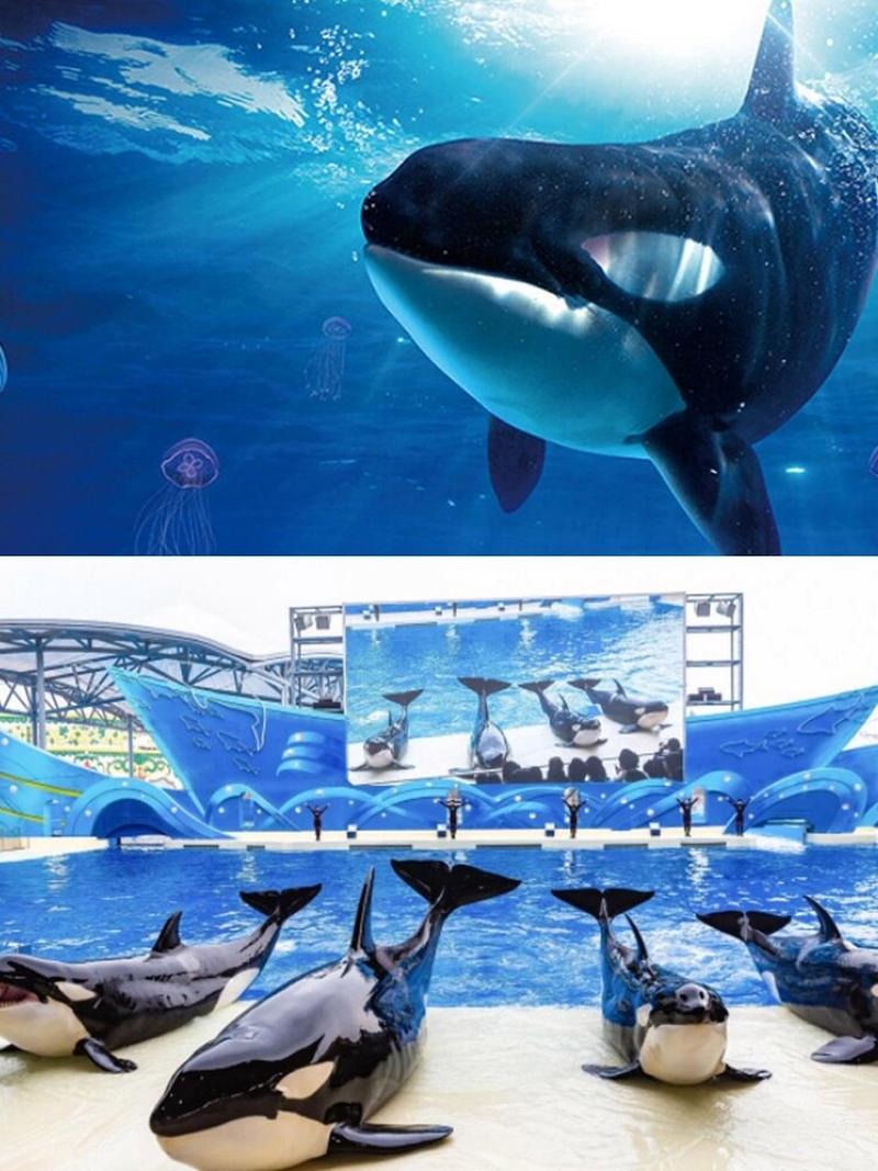 上海海洋公园哪个好