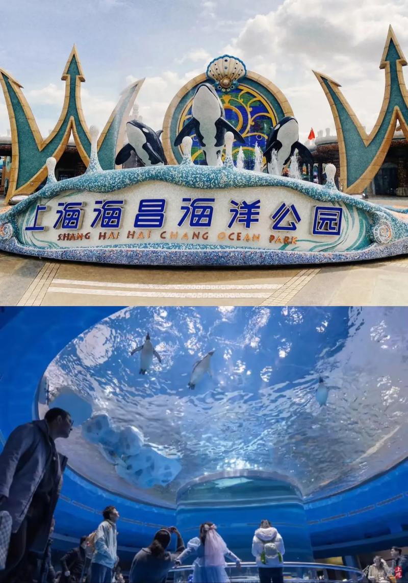 上海哪个海洋馆好玩?
