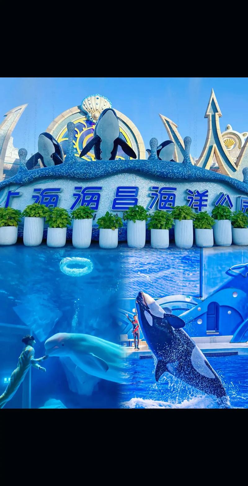 上海的哪个海洋公园好玩