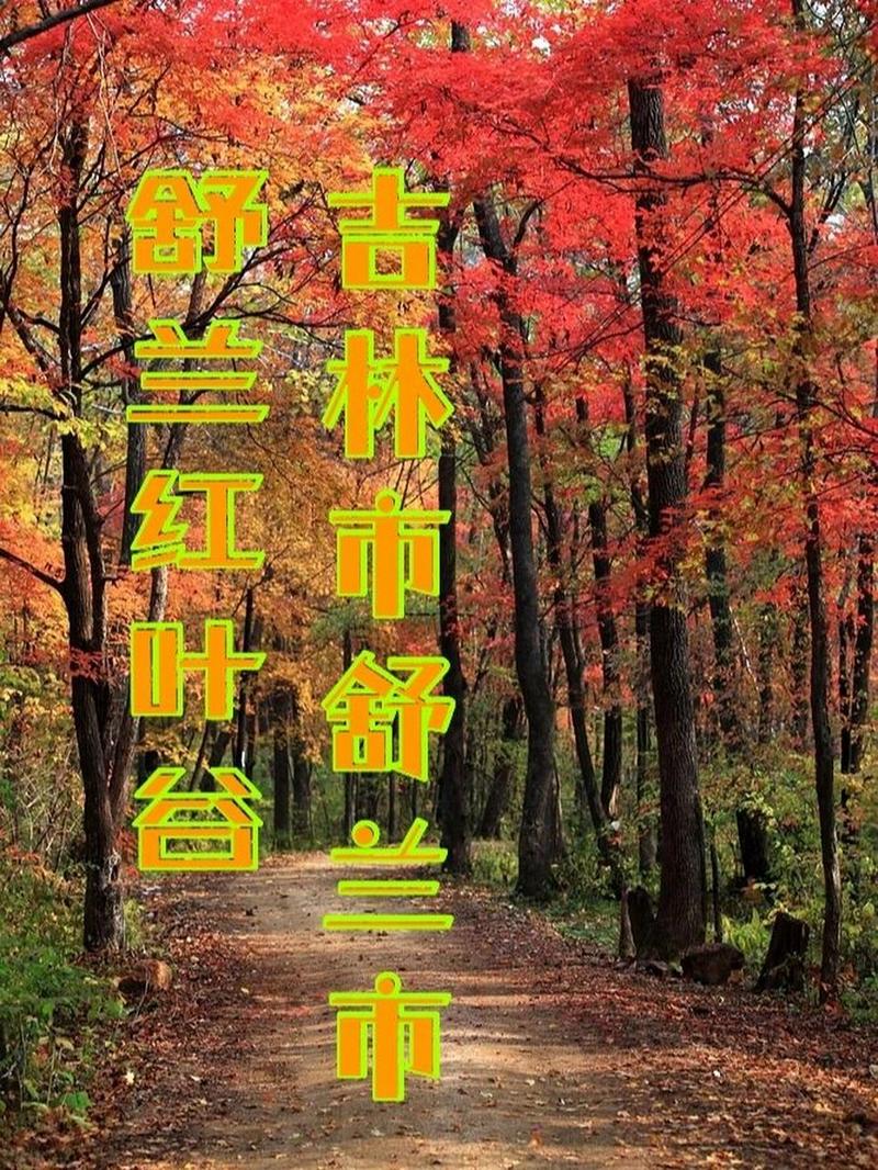 蛟河红叶谷有门票吗