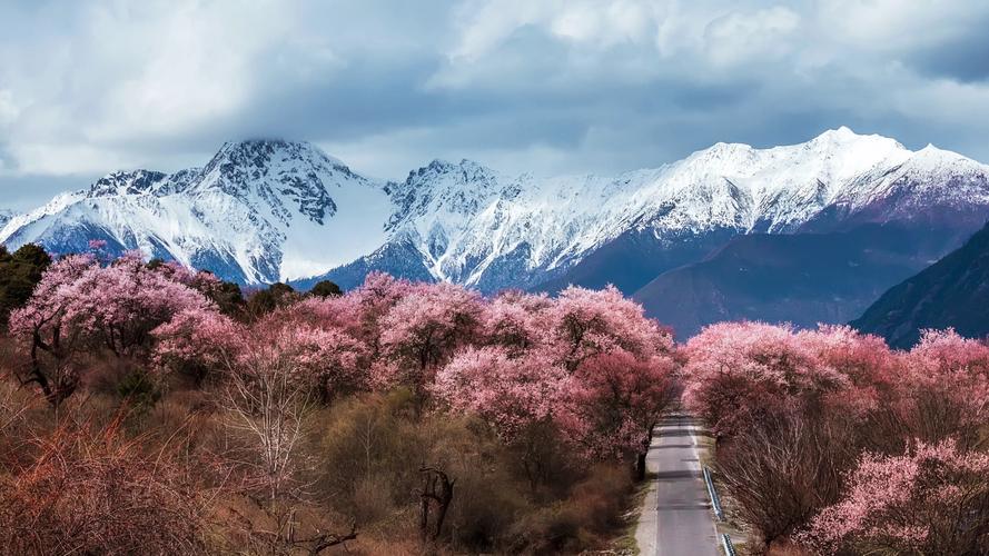 林芝前十旅游景点